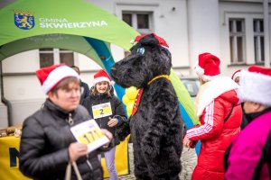 VI Bieg Mikołajowy Skwierzyna